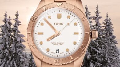 oris divers sixty-five cotton candy white star