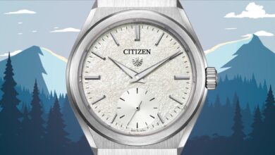 citizen caliber 0200 100 anniversary